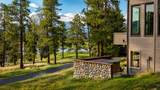 203 Gentian Road - Photo 29