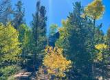 71 Red Cloud Drive - Photo 44