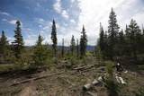 91100 Ryan Gulch Road - Photo 17