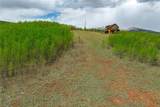 562 Palmer Peak Drive - Photo 10