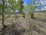 412 Smith And Wesson Road - Photo 13