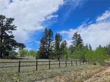 412 Smith And Wesson Road - Photo 6
