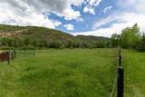 45995 County Road 129 - Photo 16