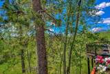 62 Salt Lick Circle - Photo 13