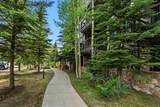 35 Mountain Thunder Drive - Photo 48