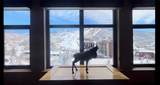 2300 Mount Werner Circle - Photo 5