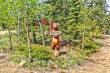 53 Warpath Road - Photo 6
