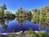 17550 Primrose Lane - Photo 9
