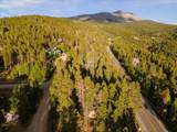 1981 Boreas Pass Road - Photo 28
