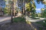 1981 Boreas Pass Road - Photo 32