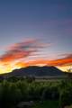 26575 Barn Owl Place - Photo 13
