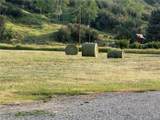 38430 County Road 179 - Photo 47