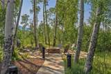 1179 Maryland Creek Road - Photo 45