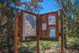 3710 Ryan Gulch Road - Photo 39
