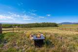 1459 Boreas Circle - Photo 43