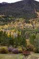 500 Bills Ranch Road - Photo 15