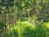 TBD Michigan Hill Road - Photo 23
