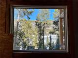 0125 Lake Ridge Circle - Photo 9