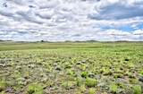1238 Chicha Road - Photo 1