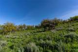 33905 Catamount Drive - Photo 8