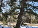 1411 Middle Fork - Photo 12