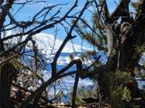 1411 Middle Fork - Photo 14