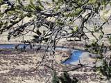 1411 Middle Fork - Photo 3