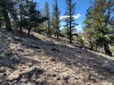 1411 Middle Fork - Photo 34