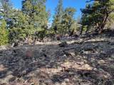 1411 Middle Fork - Photo 36
