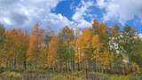 27100 Beaver Canyon Drive - Photo 40