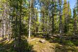440 Gold Trail Circle - Photo 12