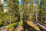 440 Gold Trail Circle - Photo 14