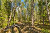 440 Gold Trail Circle - Photo 17