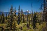91099 Ryan Gulch Road - Photo 28