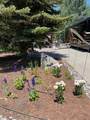 85 Revett Drive #271 - Photo 8