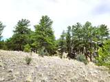 1051 Arapahoe Trail - Photo 16