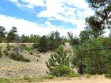 1051 Arapahoe Trail - Photo 19