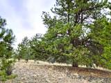 1051 Arapahoe Trail - Photo 20