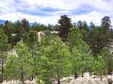 1051 Arapahoe Trail - Photo 29