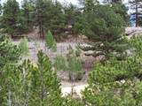 1051 Arapahoe Trail - Photo 31