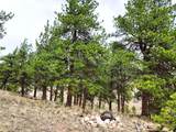 1051 Arapahoe Trail - Photo 33