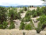 1051 Arapahoe Trail - Photo 42