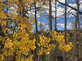 1140 Ute Trail - Photo 23