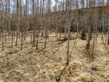 1555 Sheep Ridge Road - Photo 12