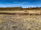 1555 Sheep Ridge Road - Photo 4