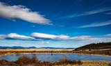 1555 Sheep Ridge Road - Photo 6