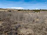1555 Sheep Ridge Road - Photo 8