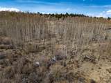 1555 Sheep Ridge Road - Photo 9