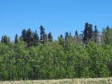 542 Thickspike Road - Photo 13