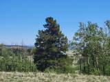 542 Thickspike Road - Photo 18